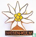 Niesen - Kulm - Bild 1
