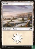 Plains - Image 1