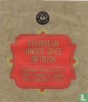 Caribbean Ginger Spice Infusion - Bild 1