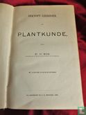 Beknopt leerboek der plantkunde - Afbeelding 3
