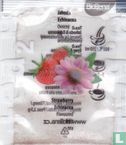 Jahoda Echinacea