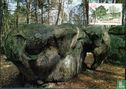 Wald von Fontainebleau - Bild 1