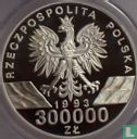 Polen 300000 zlotych 1993 (PROOF) "Barn swallows" - Afbeelding 1