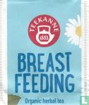 Breast Feeding - Image 1