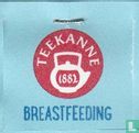 Breast Feeding - Image 3