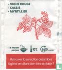 Jambes Légères - Image 2