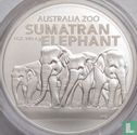 Australië 1 dollar 2022 "Sumatran elephant" - Afbeelding 2