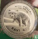 Australië 1 dollar 2018 (coincard) "Ravi - Red panda" - Afbeelding 3