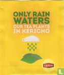Only Rain Waters - Afbeelding 1