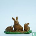 Rabbit with little ones - Image 1