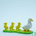 Duck with three chicks