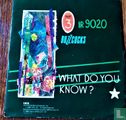 What Do You Know? - Afbeelding 2