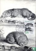 The otter - Image 1