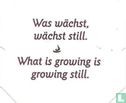 Was wächts, wächts still. • What is growing is growing still. - Afbeelding 1