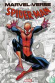 Marvel-Verse: Spider-Man - Afbeelding 1