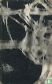 Nova - Bild 2