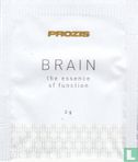 Brain - Image 1