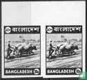 Images du Bangladesh - Image 3