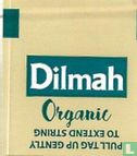 Dilmah Organic Berry Explosion 3-5 min - Bild 2