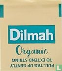 Dilmah Organic Ceylon Spice Chai 3-5 min - Bild 2