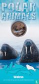 Australië 1 dollar 2013 (folder) "Polar animals - Walrus" - Afbeelding 1