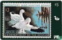 Migratory Bird Hunting Stamp 1971 - Image 1
