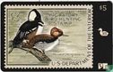 Migratory Bird Hunting Stamp 1969 - Bild 1