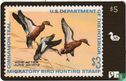 Migratory Bird Hunting Stamp 1972 - Image 1