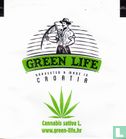Cannabis sativa L. - Bild 1