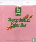 Rozenbottel Eglantier - Afbeelding 1