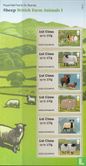 Sheep - Image 1