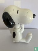 Snoopy als Schriftsteller - Bild 2