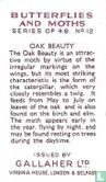 Oak Beauty