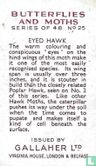 Eyed Hawk - Bild 2