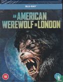 An American Werewolf in London - Image 1