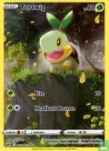 Turtwig (Full art)