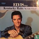 Kentucky Rain - Bild 1