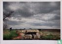 Landscape in Metamorphosis/e der Landschaft - Image 1