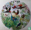 Hummingbirds - Image 3