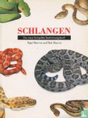 Schlangen - Bild 1