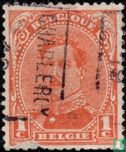 Le roi Albert I