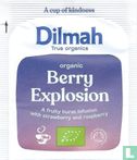 Berry Explosion - Image 1