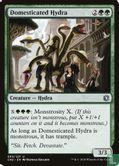 Domesticated Hydra - Image 1