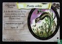 Plante cobra - Afbeelding 1