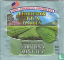 Carolina Mint Tea - Image 1