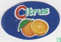  Citrus - Image 3