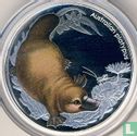 Australië 50 cents 2013 (PROOF) "Platypus" - Afbeelding 2