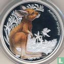Australië 50 cents 2010 (PROOF) "Kangaroo" - Afbeelding 2
