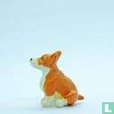 Queenie (Welsh Corgi) - Image 3