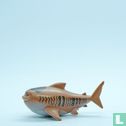 Maui comme un requin